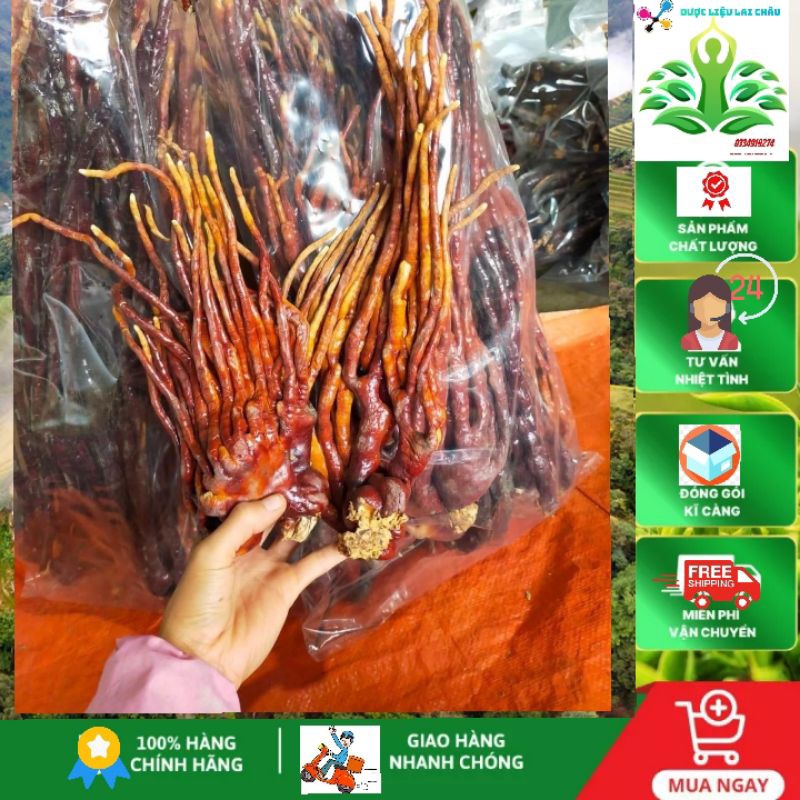 1kg Nấm linh chi sừng hươu hàng loại 1