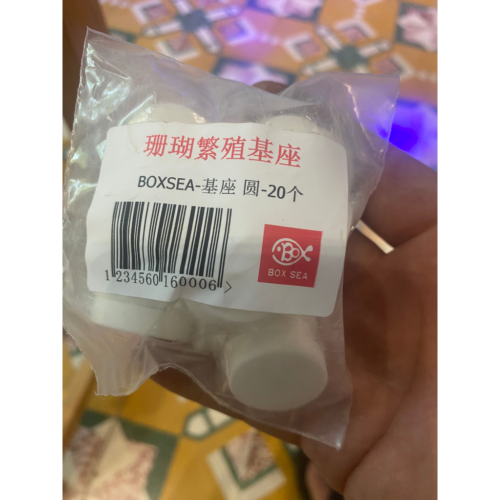 Đế Frag san hô Chính hãng boxsea