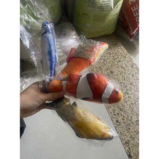 Cá catnip đồ chơi cho chó mèo
