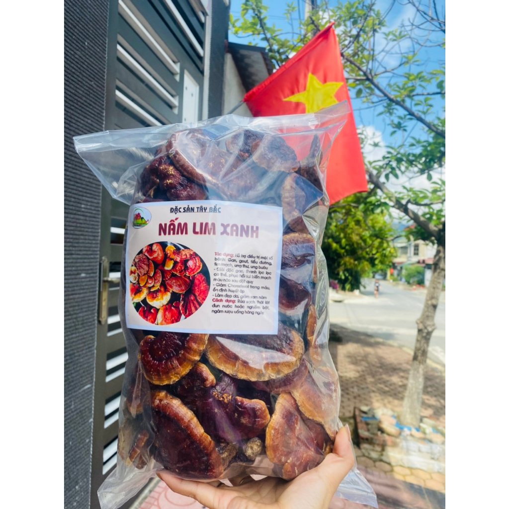 Nấm lim xanh rừng tự nhiên hỗ trợ ung thư, điều hòa huyết áp, tăng cường sức khỏe