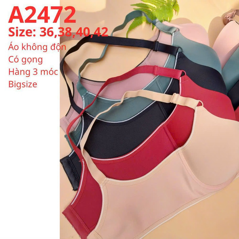 Áo lót áo ngực bigsize Thái Lan có gọng cup C trẻ trung