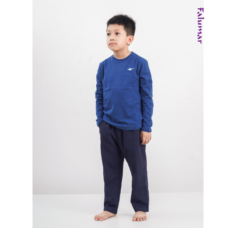 Áo thu đông trẻ em dài tay Falumar, chất cotton nhiều màu