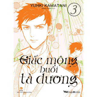 Boxset Truyện - Giấc Mộng Buổi Tà Dương (Tập 1 + Tập 2)