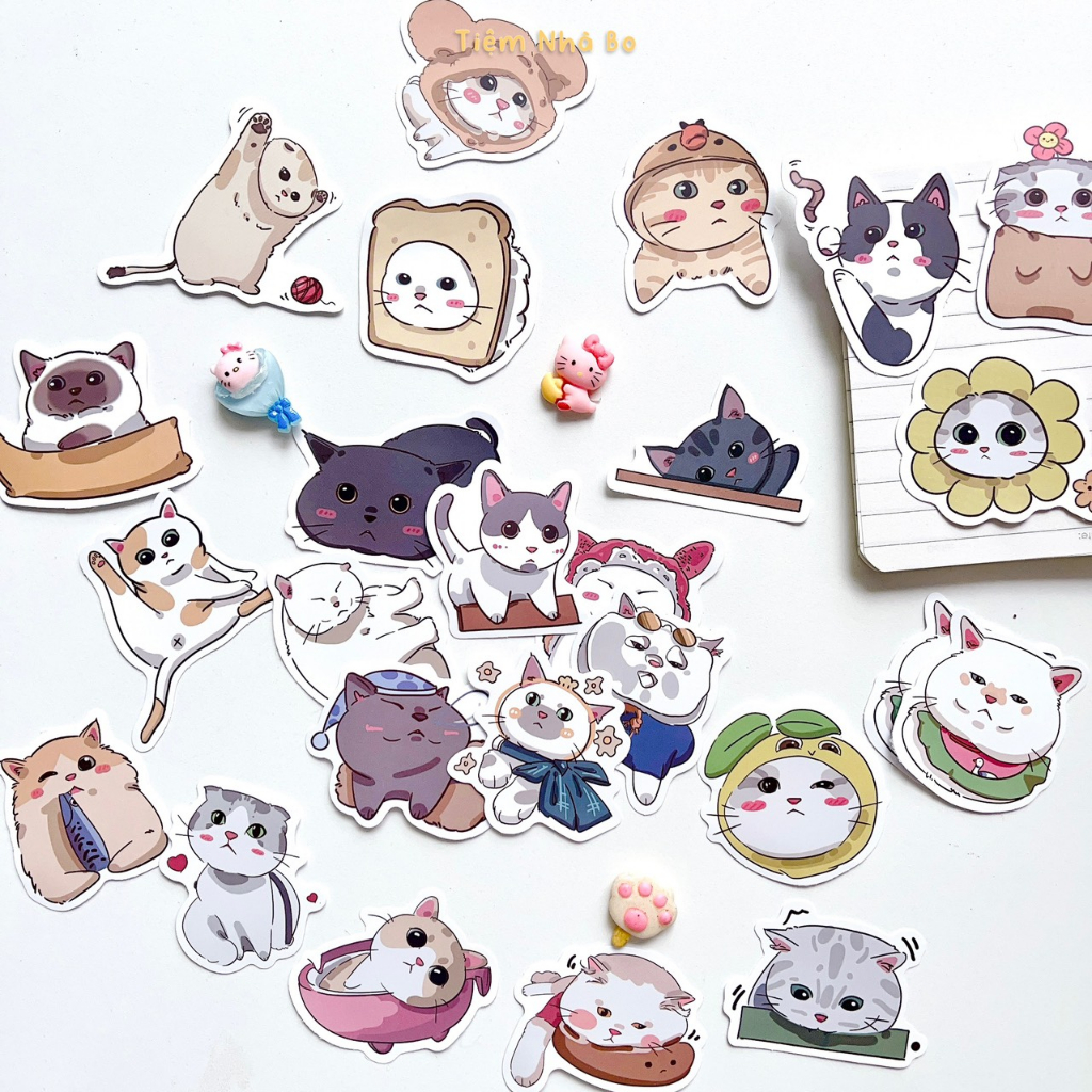 Sticker miếng rời dán mũ bảo hiểm-nhiều mẫu