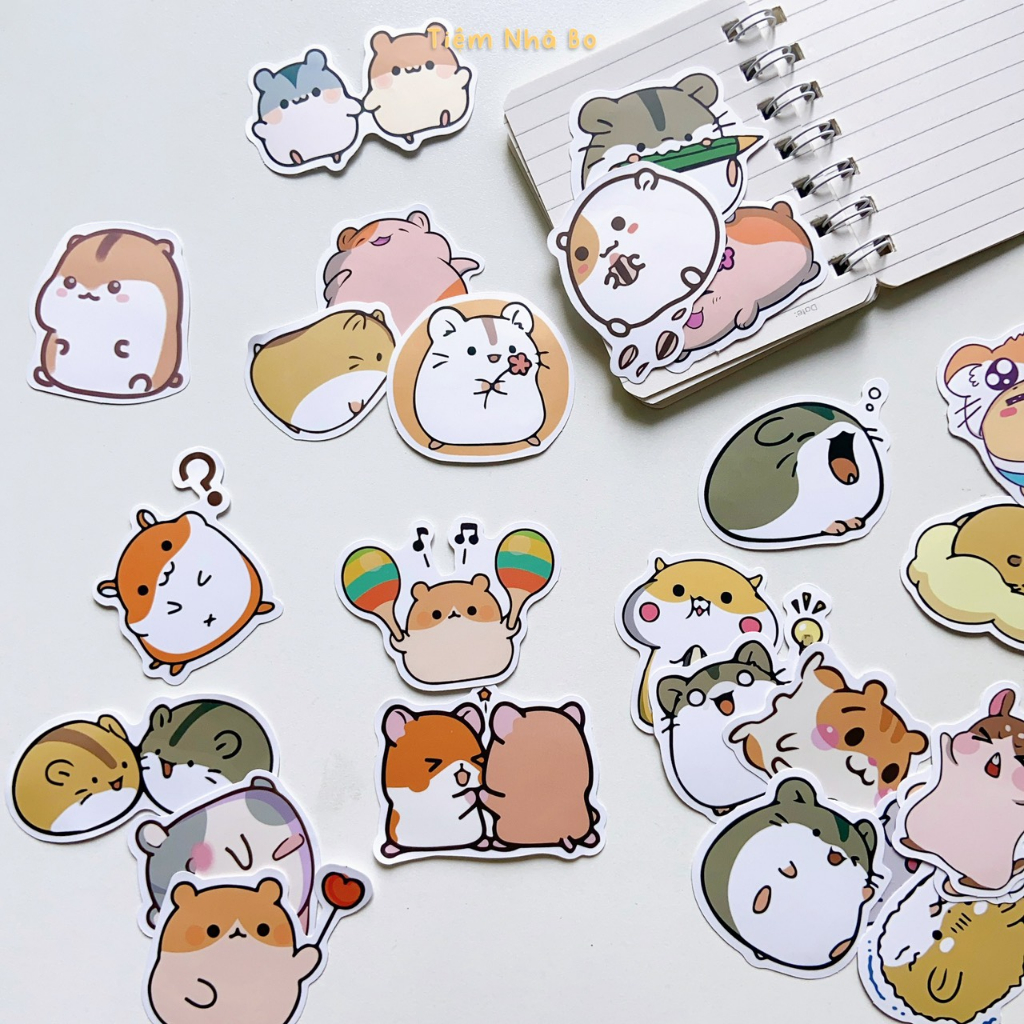 Sticker miếng rời dán mũ bảo hiểm-nhiều mẫu