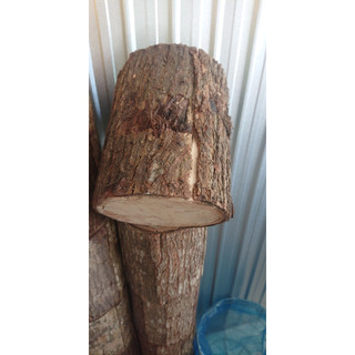 Tru  vo cay tron 20*25