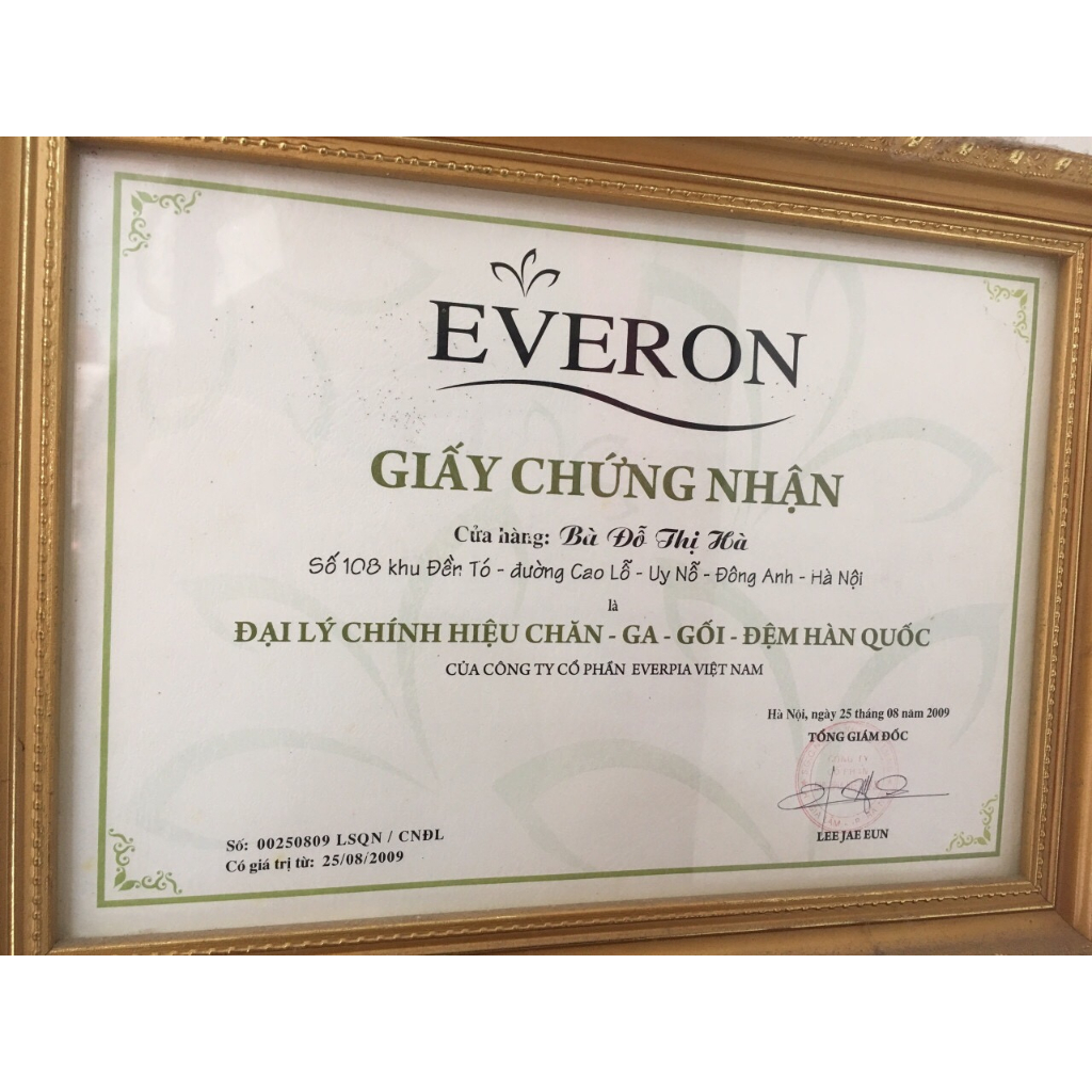 Bộ ga chun vỏ gối Everon EPT24083