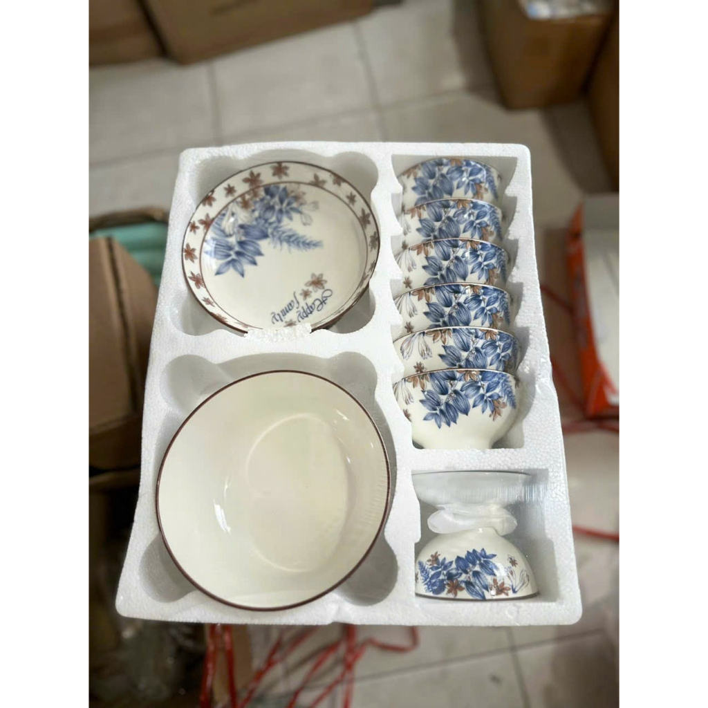 Bộ bát đĩa sứ 10 MÓN Decor MÀU xanh dương CAO CẤP