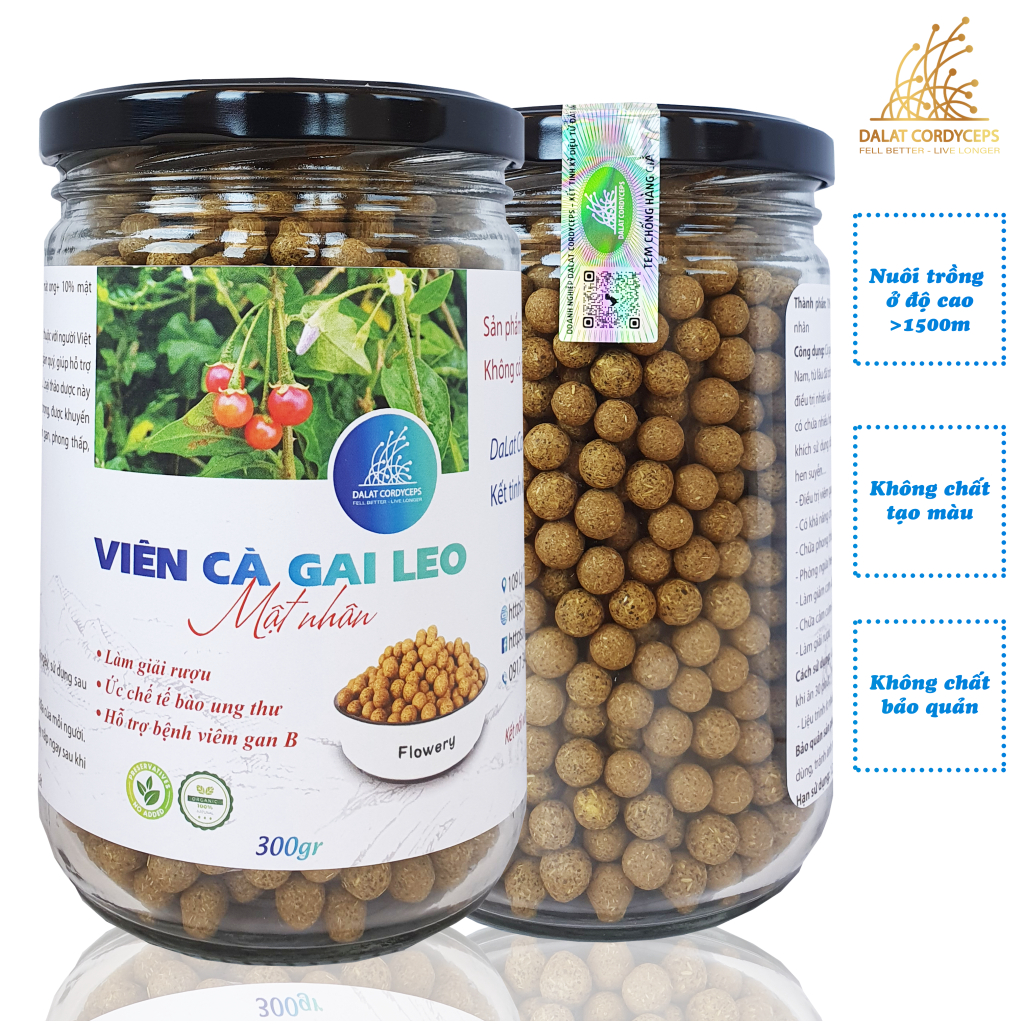 Viên trà cà gai leo mật nhân - Dalat Cordyceps