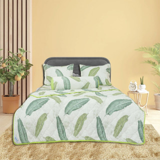Bộ chăn drap gối cotton hoa thắng lợi mẫu b - chính hãng