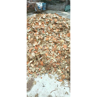 Lá xông tắm dao đỏ