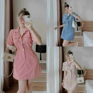 Đầm Nữ cổ sơ mi tăm gân phối 2 túi nhẹ nhàng sang trọng