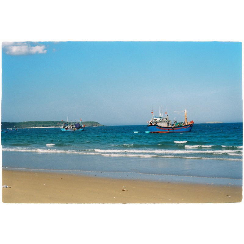 Film Kodak Gold 200 date 06.2025 36exp một hộp giấy có 1 cuộn  film 35mm