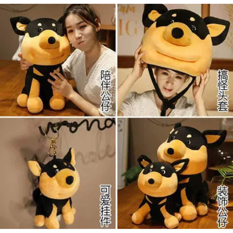 Thú nhồi bông hình chú chó mặt to, mũ đội đầu riêng