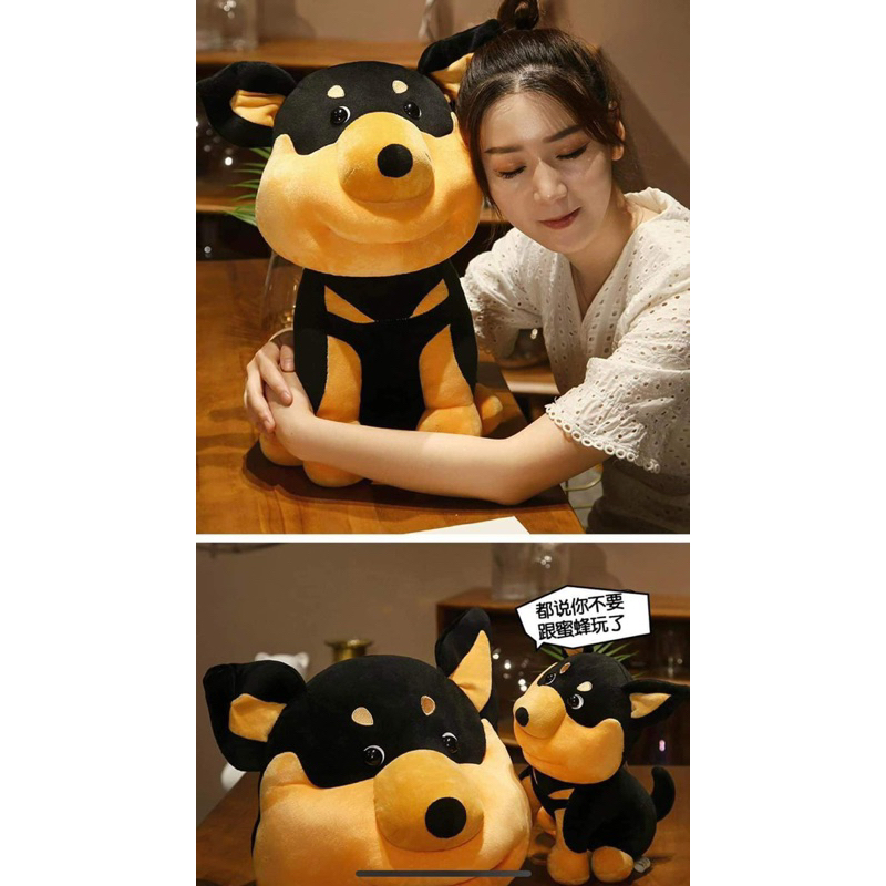 Thú nhồi bông hình chú chó mặt to, mũ đội đầu riêng