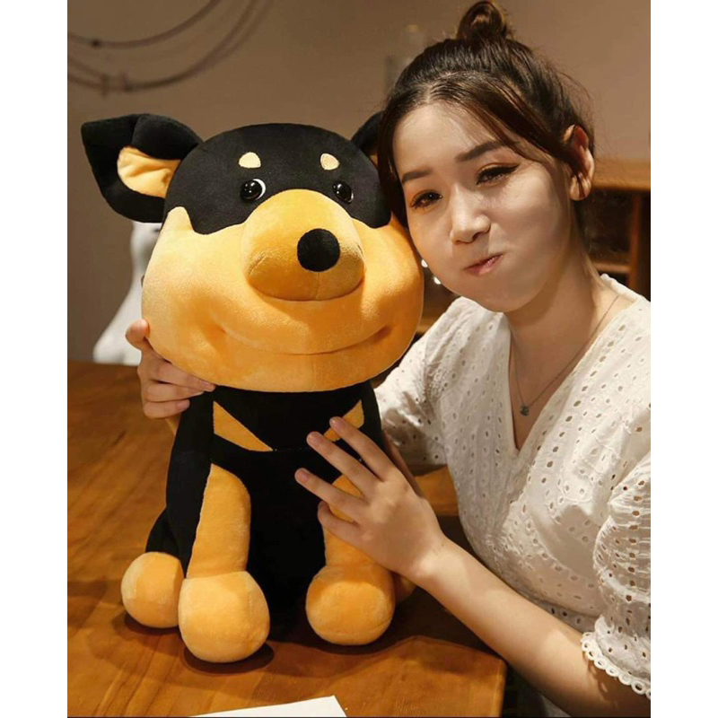 Thú nhồi bông hình chú chó mặt to, mũ đội đầu riêng