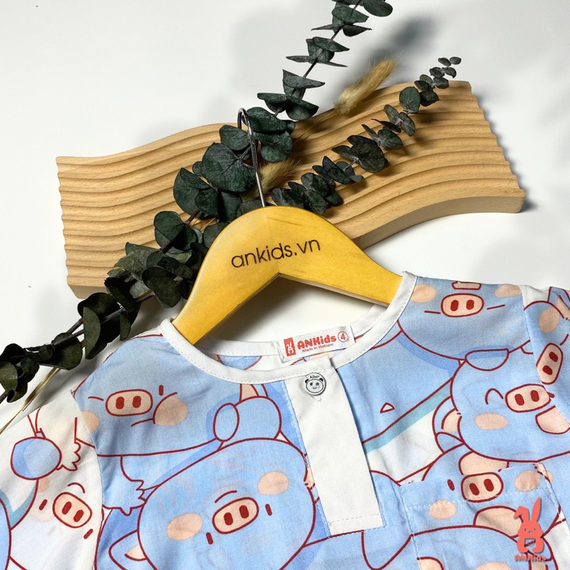 Đồ bộ tole bé trai, tay dài quần dài, size 8-40kg