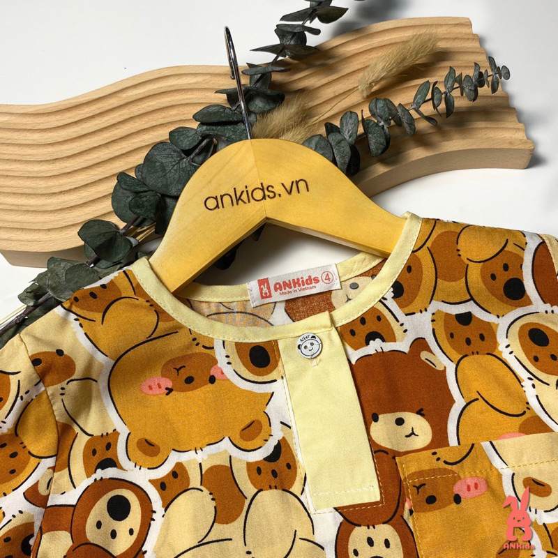 Đồ bộ tole bé trai, tay dài quần dài, size 8-40kg