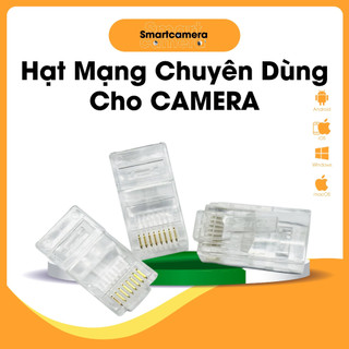Đầu bấm mạng/ hạt mạng (cat 5) RJ45 - túi (100 hạt mạng)