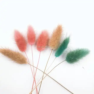 Hoa khô cỏ Đuôi thỏ làm đồ decor handmade (chùm 3 bông)