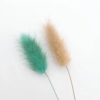 Hoa khô cỏ Đuôi thỏ làm đồ decor handmade (chùm 3 bông)