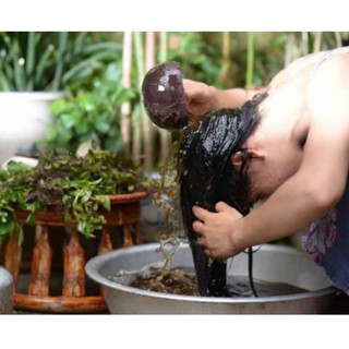 GÁO DỪA MÚC NƯỚC THẢO DƯỢC SPA 🥥