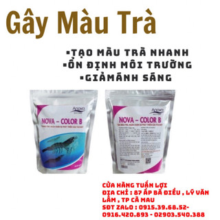 Nova color b gây màu trà , tạo màu trà gói 1 kg