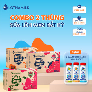 Combo 2 thùng 48 hộp sữa chua uống lên men Lothamilk 180ml