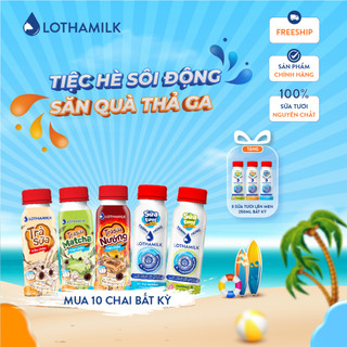 Combo 15 chai trà sữa bất kì Lothamilk 250ml