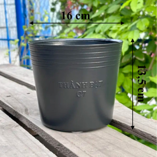 Combo 50 Chậu nhựa đen C7 (15x13cm) trồng cây, dày dặn