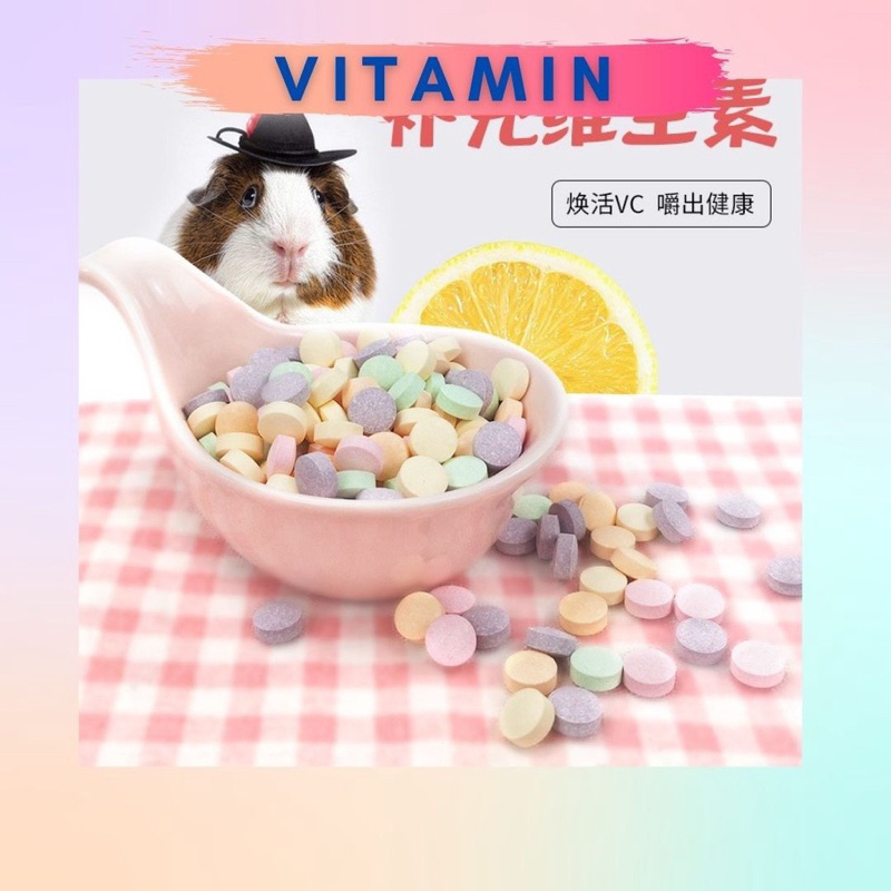 Viên Vitamin bổ sung trái cây và làm đẹp lông cho hamster, Guinea Pig, thỏ, sóc bắc mỹ, chinchilla