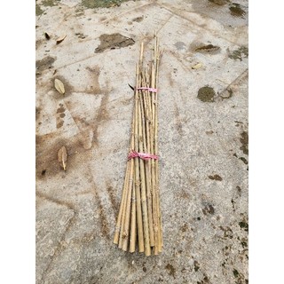 Cây tầm vông làm giàn, cắm chậu cây
