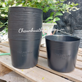 Chậu nhựa đen c9a - chậu nhựa thành đạt