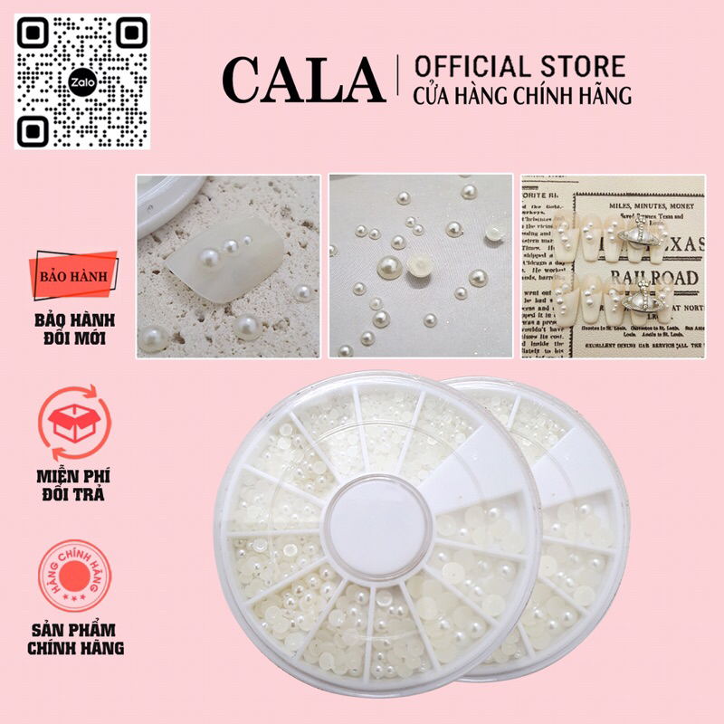 Khay trai nửa mix size, khay trai trắng chia size 12 ô