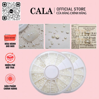 Khay trai nửa mix size, khay trai trắng chia size 12 ô