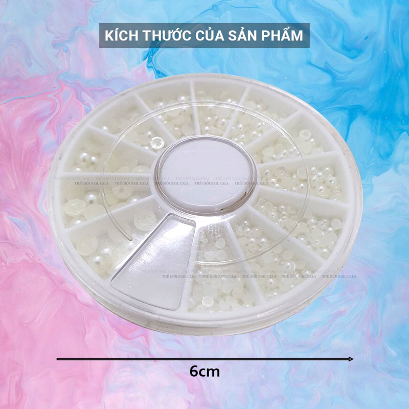 Khay trai nửa mix size, khay trai trắng chia size 12 ô