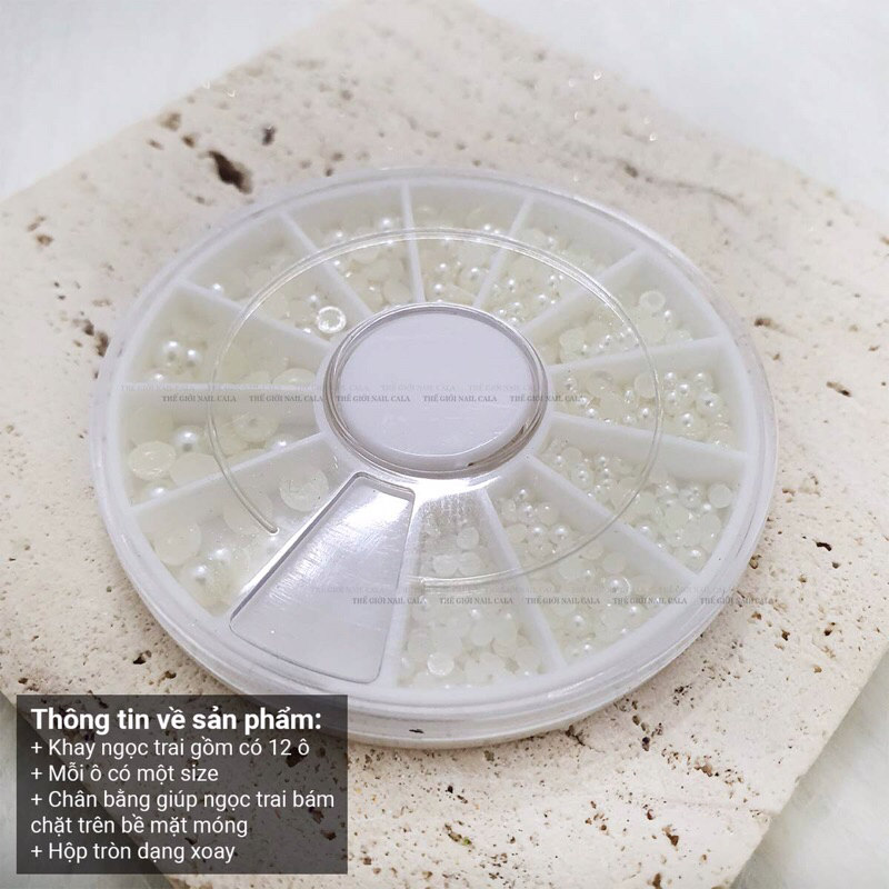 Khay trai nửa mix size, khay trai trắng chia size 12 ô