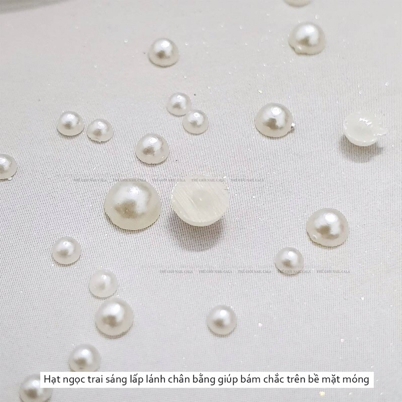 Khay trai nửa mix size, khay trai trắng chia size 12 ô