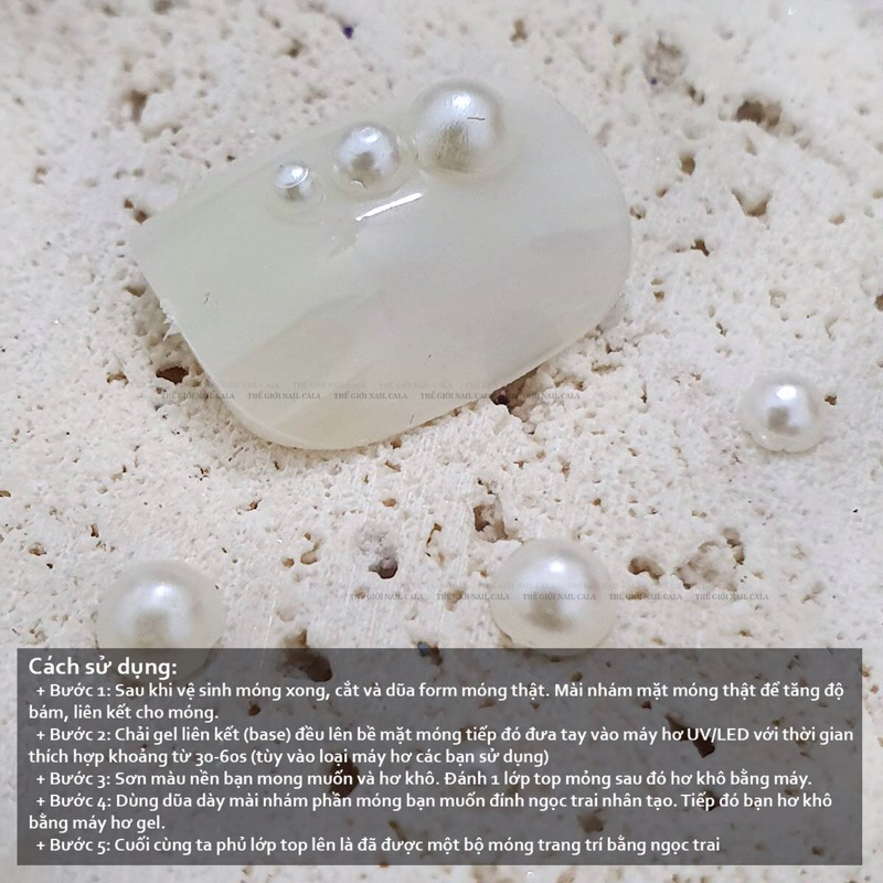 Khay trai nửa mix size, khay trai trắng chia size 12 ô
