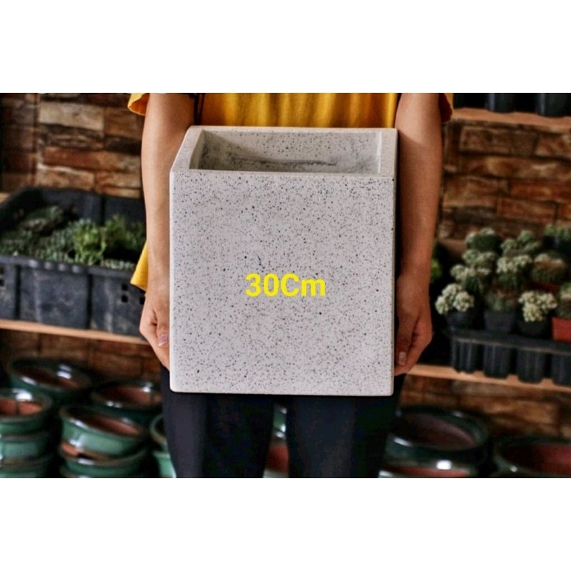 Chậu Vuông Đá Mài 20×20Cm Trồng Cây Nuôi Cá Rau Hoa