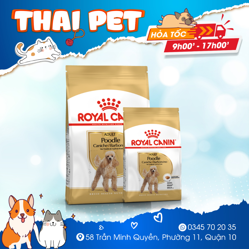 Thức Ăn Hạt Royal Canin Poodle Adult Cho Chó Poodle Trưởng Thành
