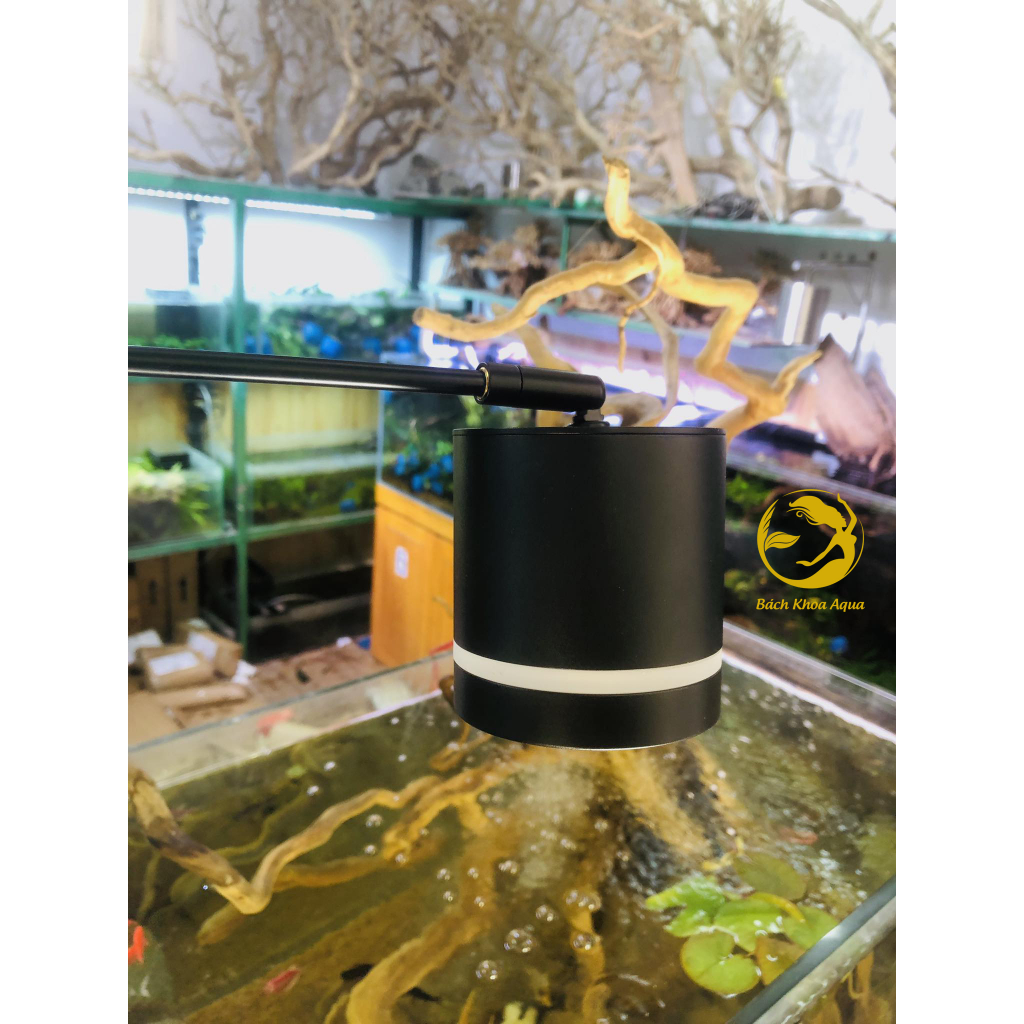 Đèn led Lon rọi 3 chế độ màu 12w/15w/18w cho bể cá