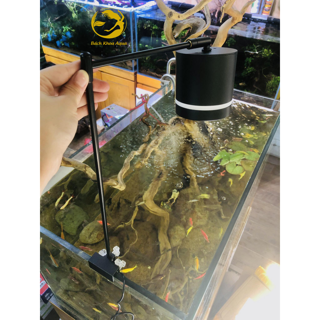 Đèn led Lon rọi 3 chế độ màu 12w/15w/18w cho bể cá