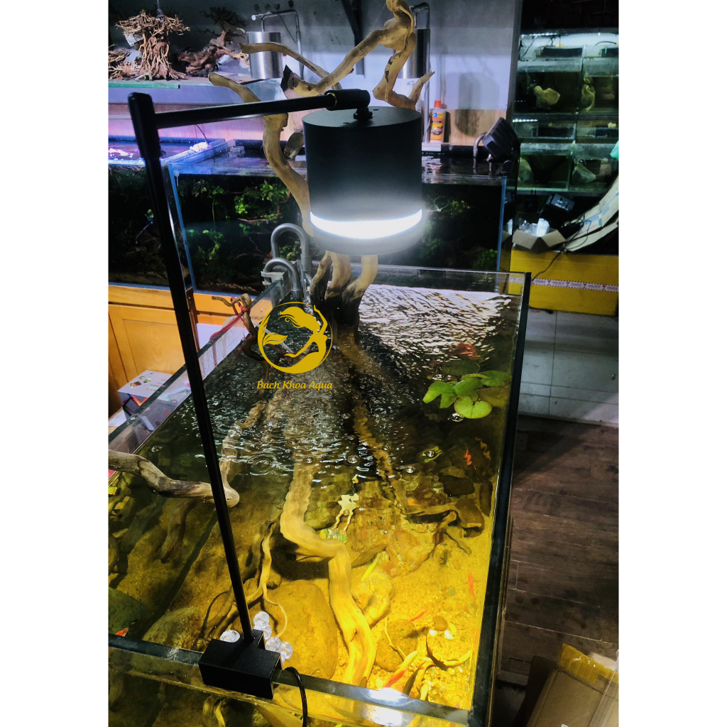 Đèn led Lon rọi 3 chế độ màu 12w/15w/18w cho bể cá