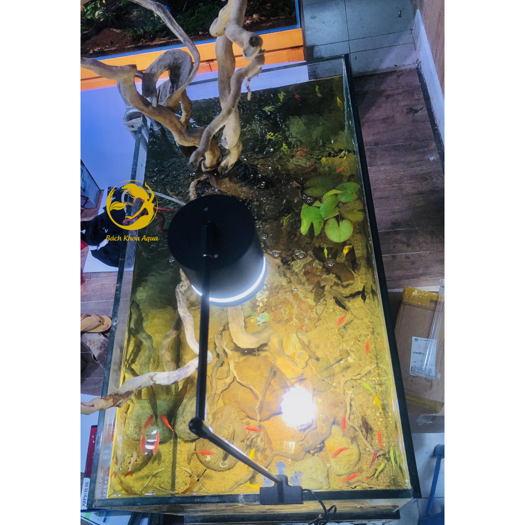 Đèn led Lon rọi 3 chế độ màu 12w/15w/18w cho bể cá