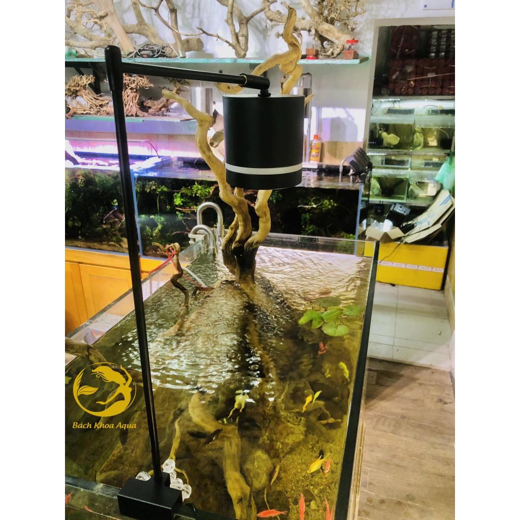 Đèn led Lon rọi 3 chế độ màu 12w/15w/18w cho bể cá