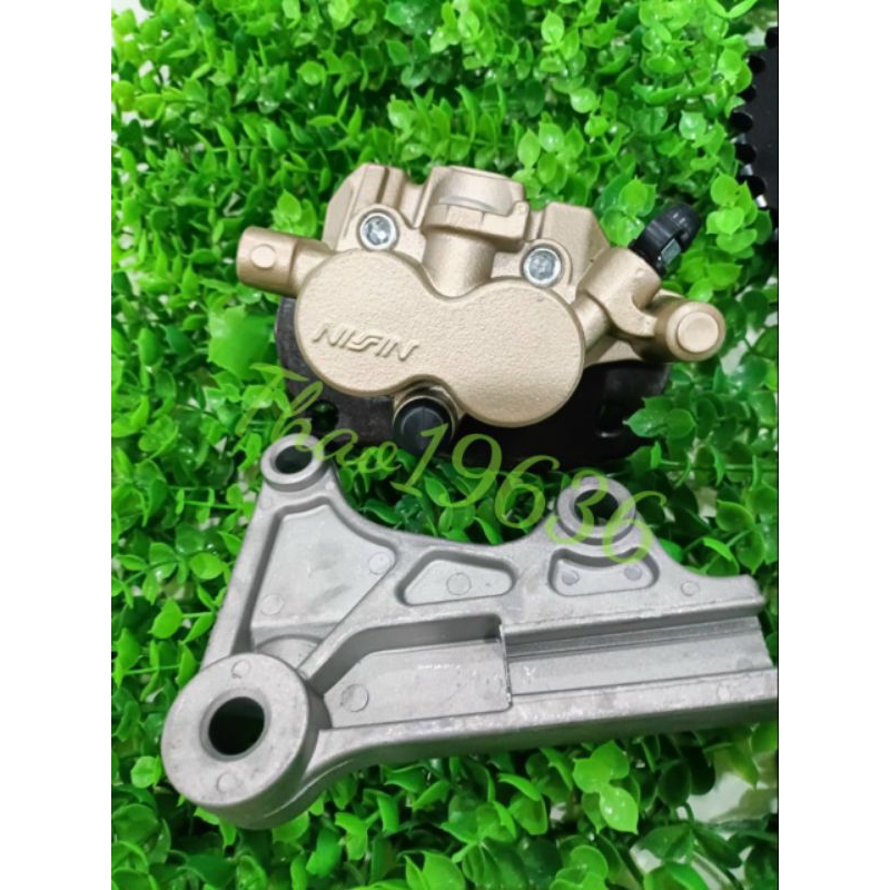 Heo sau và pát heo Xipo 203