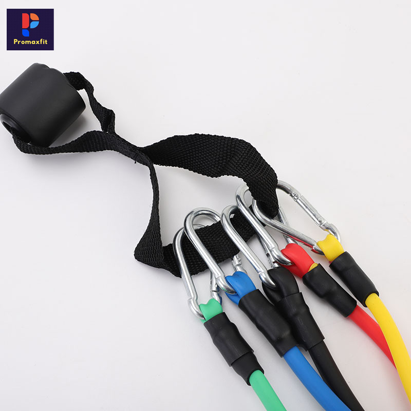 Dây kháng lực ngũ sắc đa năng Prowin Fitness tập thể hình tại nhà dây cao su nhiều màu tập Gym