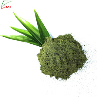 Bột lá nếp hữu cơ sấy lạnh 10g nguyên chất