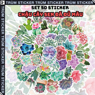Set 50 stickers, sen đá dán trang trí decor phong cách vintage trang trí - trùm stickers 116